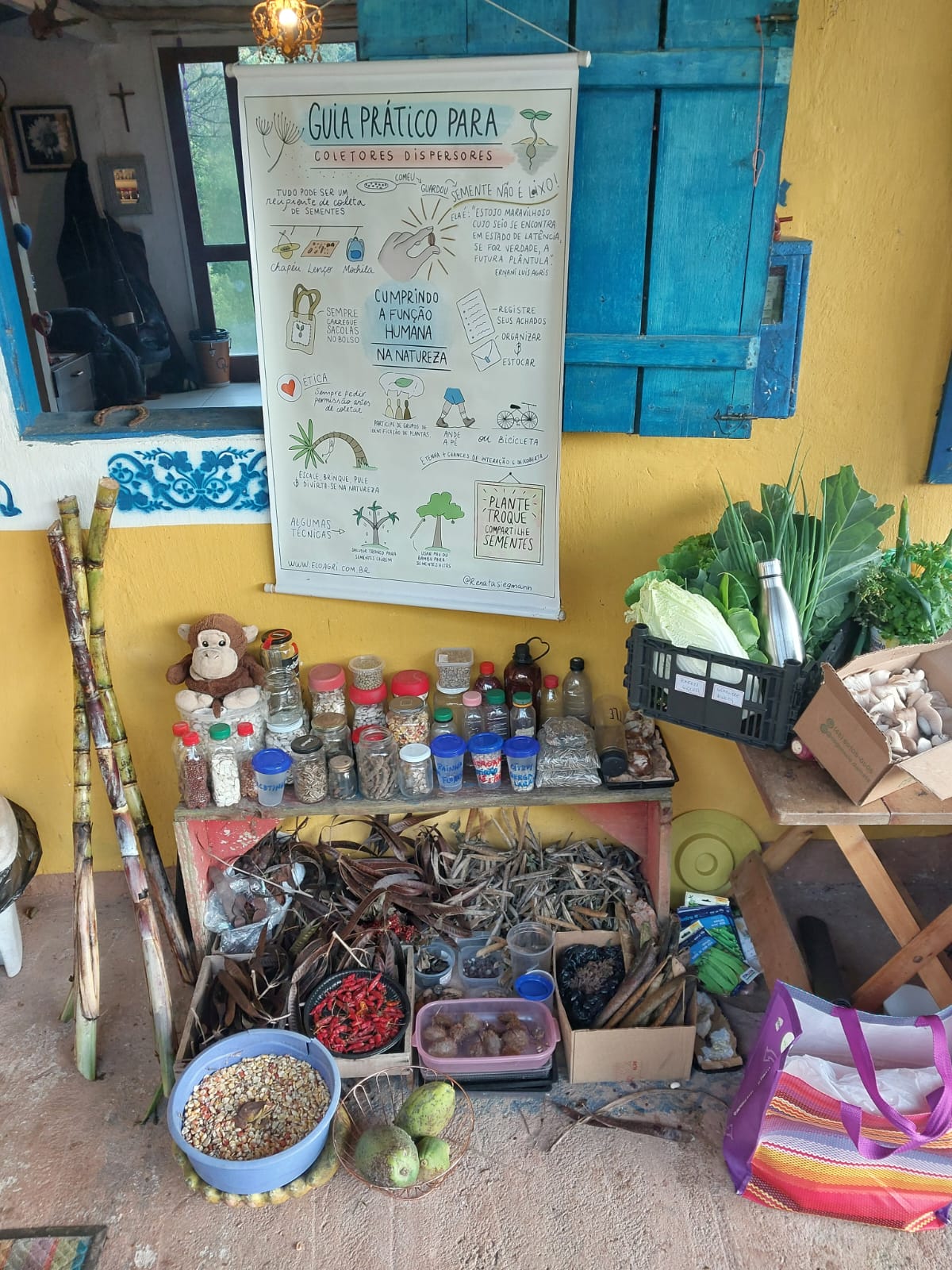 ação pedagogica sementes.jpg